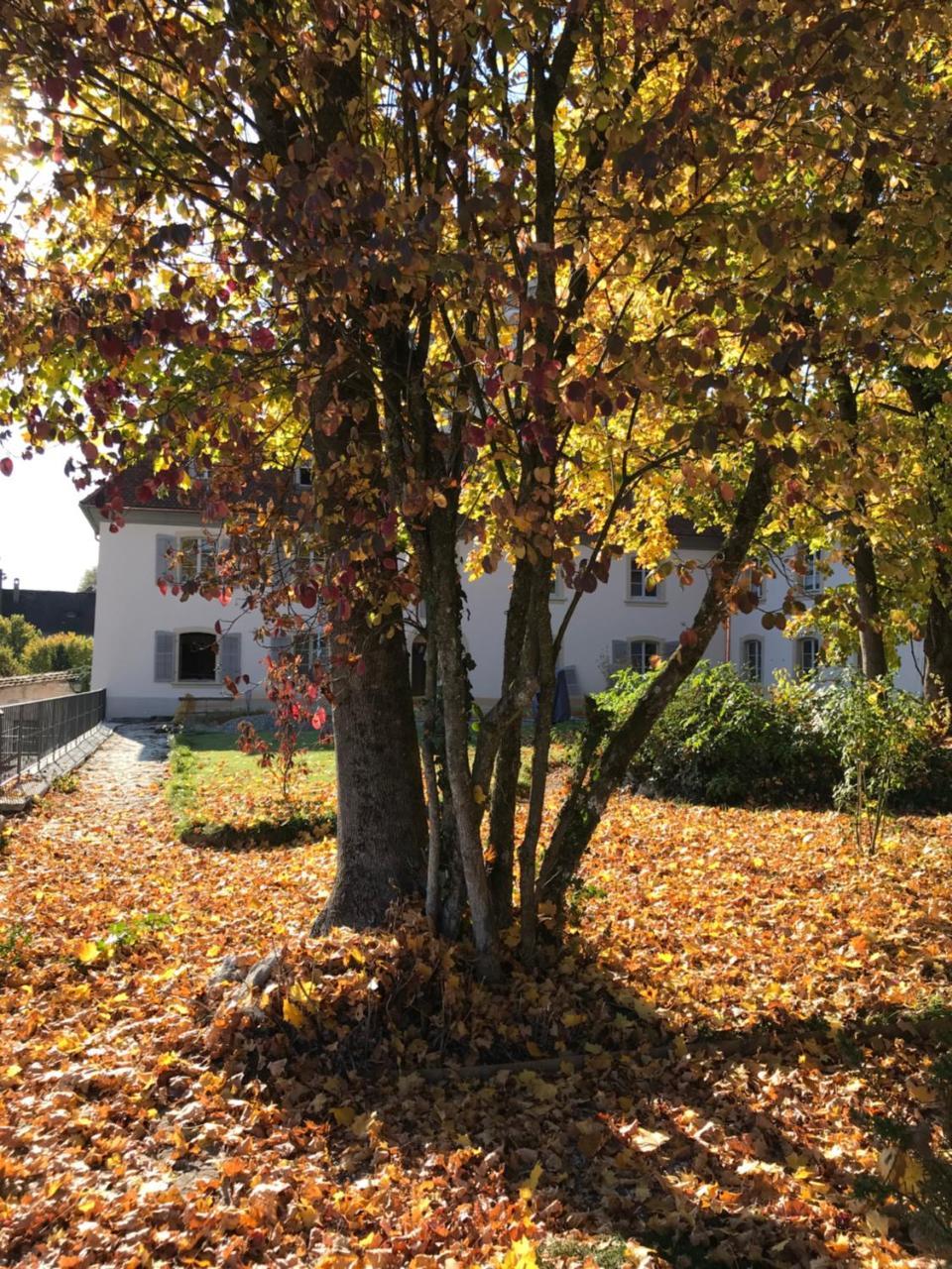 Manoir De La Cote-Dieu ポラントリュイ エクステリア 写真